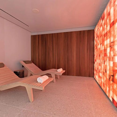 Mur de sel professionnel - HIMALAYAN - STAR WELLNESS - en kit / rétroéclairé / standard