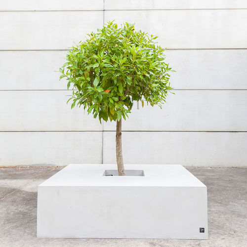 Jardinière en béton fibré - BASIC : 215 / 216 / 217 - SIT Urban Design - carrée / avec banc intégré / contemporaine