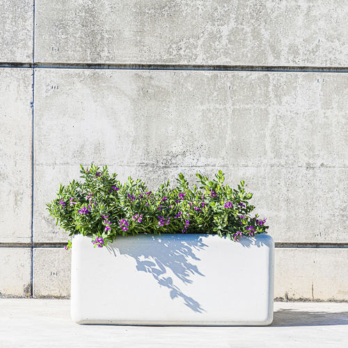 Jardinière en béton fibré - SOFTSHAPES : 523 - SIT Urban Design - rectangulaire / contemporaine / pour espace public