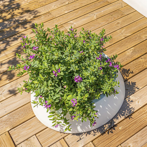 Jardinière en polyéthylène haute densité PEHD - SUN : 802 - SIT Urban Design - ronde / contemporaine / pour espace public