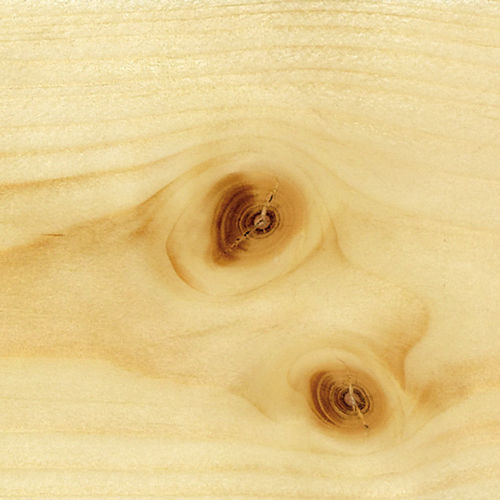Poutre en bois - A. Barbosa - de section rectangulaire / pour coffrage