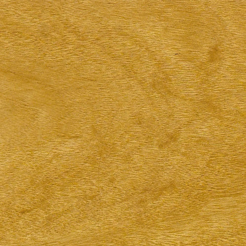 Parquet massif - PAU CETIM - A. Barbosa - en bois de feuillus / en bois massif / satiné