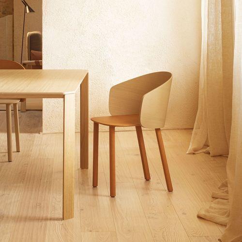 Chaise contemporaine - NOT  - True Design srl - d'intérieur / en bois / en chêne