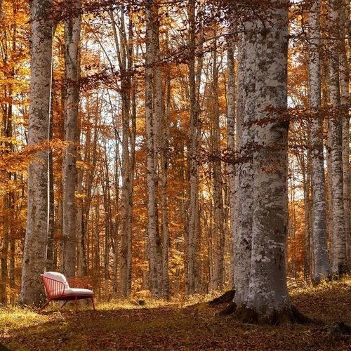 Fauteuil contemporain - NOT OUT - True Design srl - en acier / en acier galvanisé / avec coussin amovible