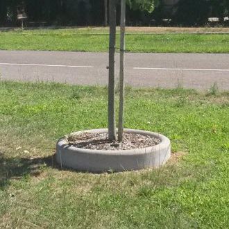 Bordurette d'arbre - ALKERN - en béton / circulaire