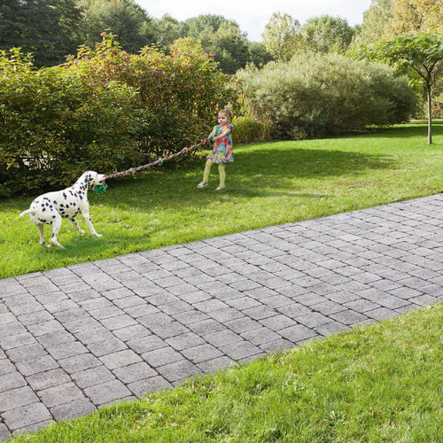 Pavé en béton - HYDRA - ALKERN - d'extérieur / vieilli / piéton