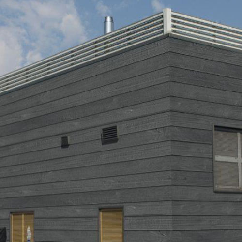 Matrice de coffrage pour façade - 0301 - WOODLINE - Plasmacem - aspect bois / pour béton imprimé