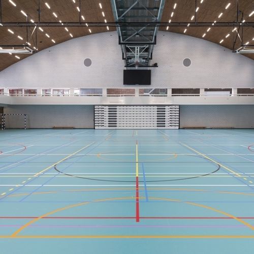 Sol sportif d'intérieur - LUMAFLEX EVOLUTION LINOSPORT XF²  - Tarkett Sports Indoor - en linoléum / pour école / pour activité sportive