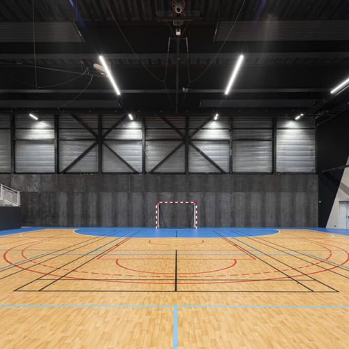 Sol sportif d'intérieur - OMNISPORTS ACTIVE+  - Tarkett Sports Indoor - en vinyle / pour école / pour athlétisme