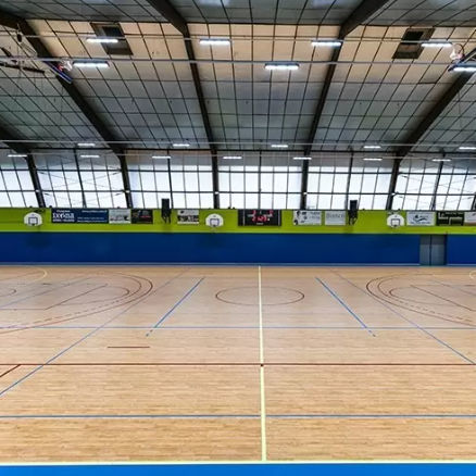 Sol sportif d'intérieur - LUMAFLEX ENERGY OMNISPORTS REFERENCE MULTI-USE - Tarkett Sports Indoor - en bois / en vinyle / pour salle multisport