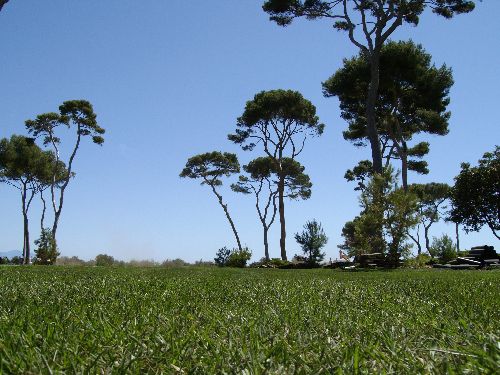 Gazon naturel - PARK COMPOMED   - COVERGARDEN - en rouleau