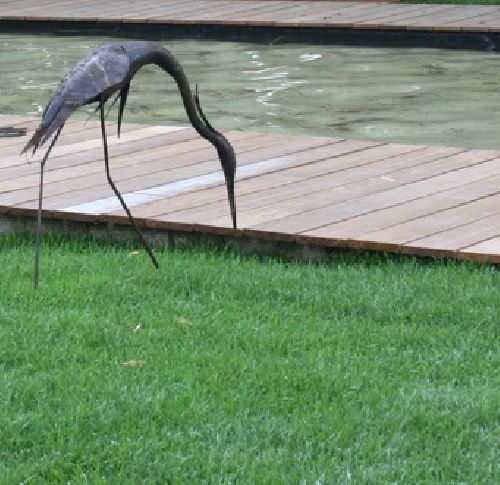 Gazon naturel - PARK ECO AGREMENT  - COVERGARDEN - en rouleau