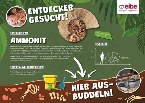 Panneau d'information d'extérieur - AMMONIT - eibe Produktion + Vertrieb GmbH & Co KG - pour espace public / pour aire de jeux