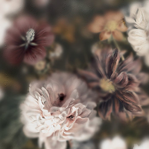 Papier peint contemporain - BLOSSOM DARK - Devon&Devon - à motif floral / aspect tissu / multicolore