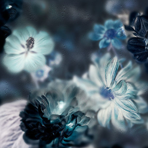 Papier peint contemporain - BLOSSOM INVERTED - Devon&Devon - à motif floral / aspect tissu / bleu