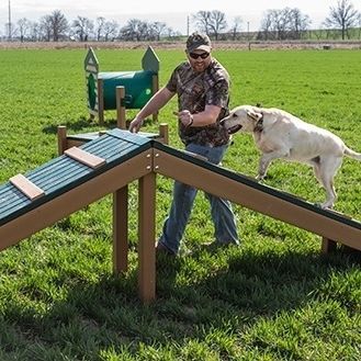 Parcour d'obstacles pour chiens - HILLTOP CHALLENGE - progressive design playgrounds - passerelle / d'extérieur