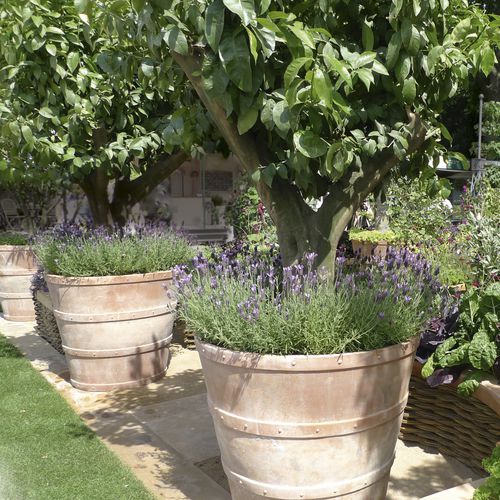 Pot de jardin en terracotta - CANTINA - Tectona - conique / résidentiel