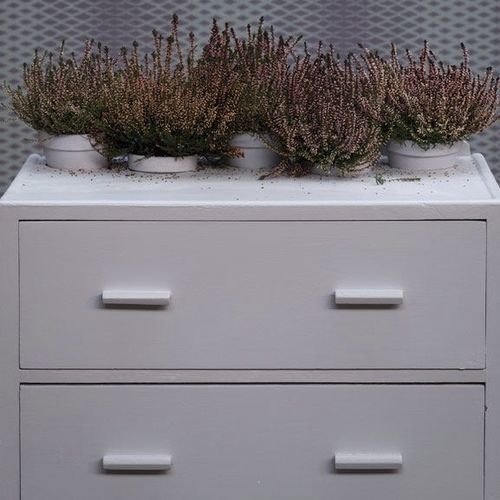 Peinture décorative - CALLUNA - Farrow & Ball - de finition / extérieure / de salle de bain