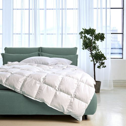 Couette en plumes - GEO - DORELAN - en coton