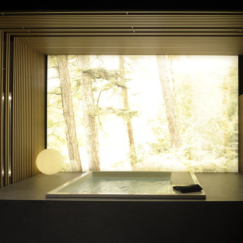 Baignoire à usage professionnel - WATERDREAM - EFFEGIBI - en béton / blanche
