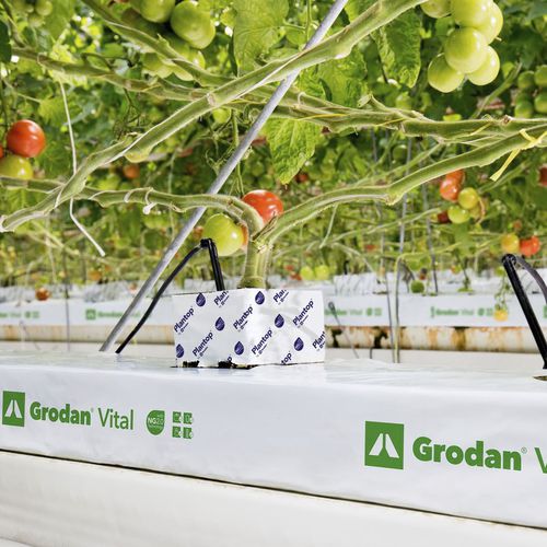 Sac de culture - VITAL - GRODAN