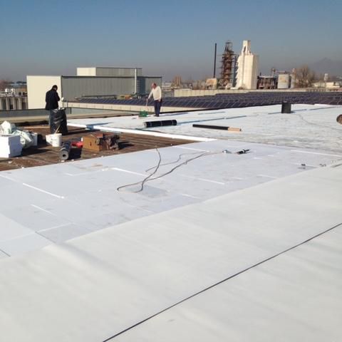 Membrane d'étanchéité pour toiture - MAPEPLAN® TM BROOF (T1) - Polyglass Spa - en rouleau / flexible / synthétique