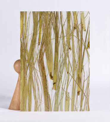 Panneau décoratif pour agencement intérieur - THAI GREEN - Designpanel - en polyester / lisse / organique