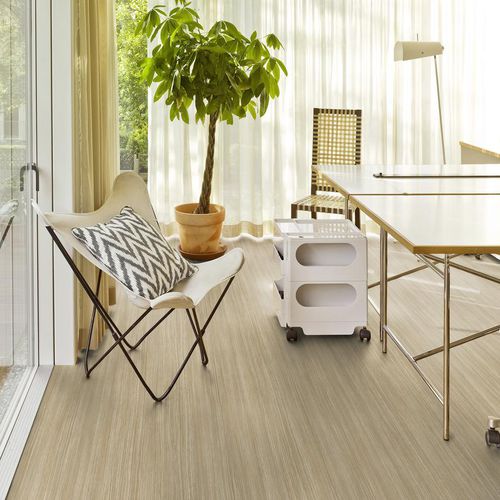 Revêtement de sol en vinyle - STANDARD PLUS - Tarkett PROFESSIONAL - d'intérieur / pour bureau / industriel
