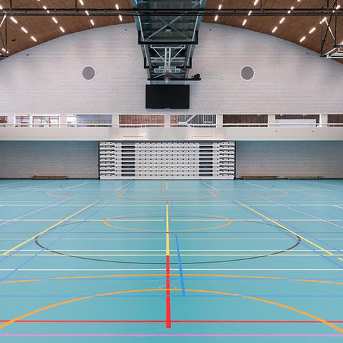 Sol sportif d'intérieur - LUMAFLEX EVOLUTION LINOSPORT XF² - Tarkett PROFESSIONAL - en linoléum / professionnel / durable