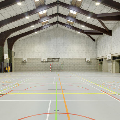 Sol sportif d'intérieur - LUMAFLEX EVOLUTION OMNISPORTS COMPACT - Tarkett PROFESSIONAL - en vinyle / professionnel / durable