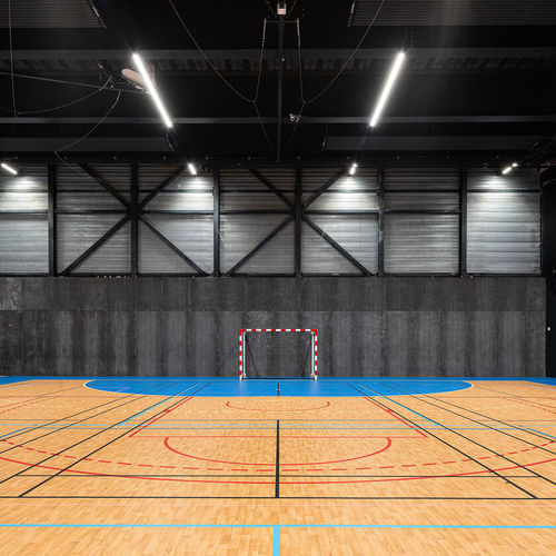Sol sportif d'intérieur - OMNISPORTS ACTIVE + - Tarkett PROFESSIONAL - en vinyle / professionnel / acoustique