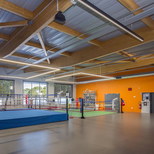 Sol sportif d'intérieur - OMNISPORTS TRAINING - Tarkett PROFESSIONAL - en vinyle / pour activités de loisirs / durable