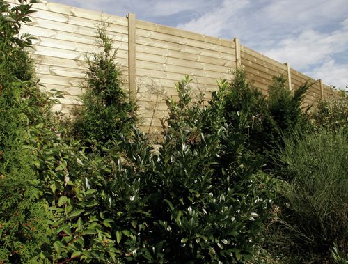 Mur anti-bruit préfabriqué - HORIZONTAL - Braun Wuerfele - en pin / en mélèze / pour clôture