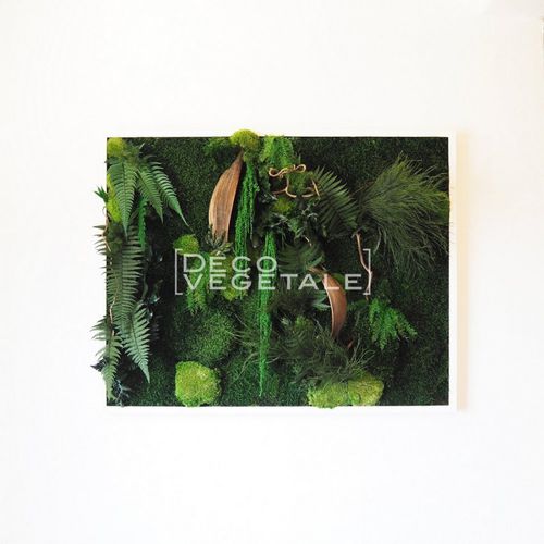 Tableau végétal stabilisé - GARDENERS BAY - deco-vegetale - naturel / feuillages denses / d'intérieur