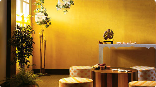 Peinture décorative - KORA GRASS - ASIAN PAINTS - intérieure / pour mur / à effets