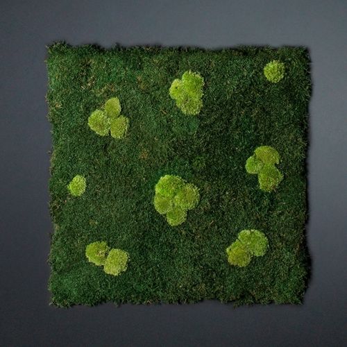 Mur végétal stabilisé - FLATMOSS CON POLEMOSS - VGnewtrend - sur mesure / en panneau modulaire / naturel