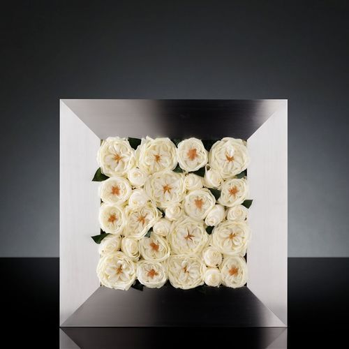 Panneau décoratif d'ameublement - MIX ROSE FRAME - VGnewtrend - pour agencement intérieur / mural / en aluminium