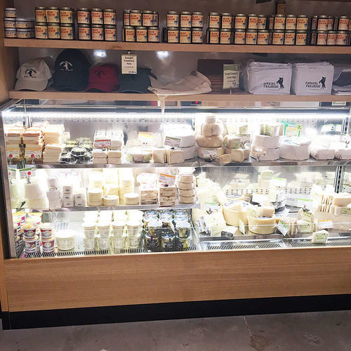 Vitrine réfrigérée comptoir - MURO H11 - Oscartek - pour commerce / en inox / sans porte