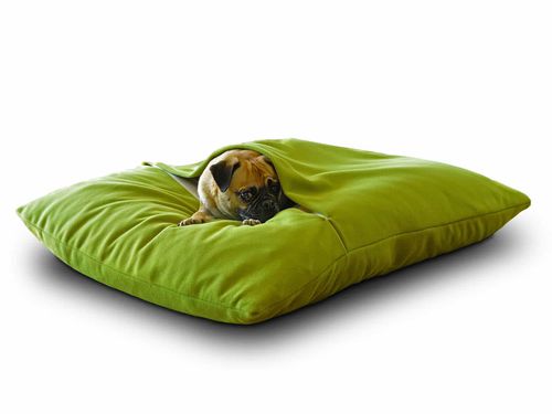 Coussin pour animaux domestiques (chien et chat) - DIVAN DUE - pet.interiors - rectangulaire / uni / résidentiel