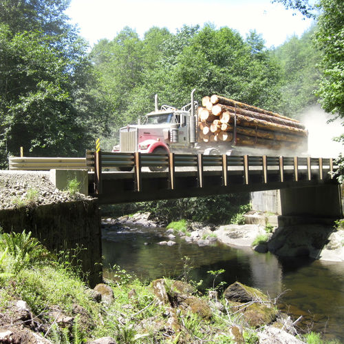 Pont en acier - BIG R - Contech - à treillis / piétonnièr / modulaire
