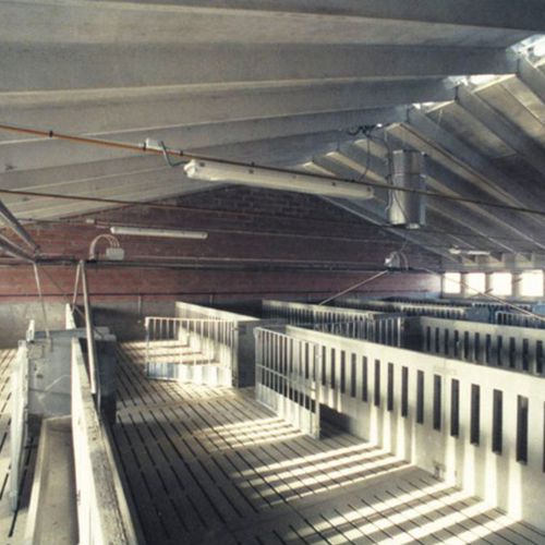 Hangar préfabriqué - PIGGERIES - Paver