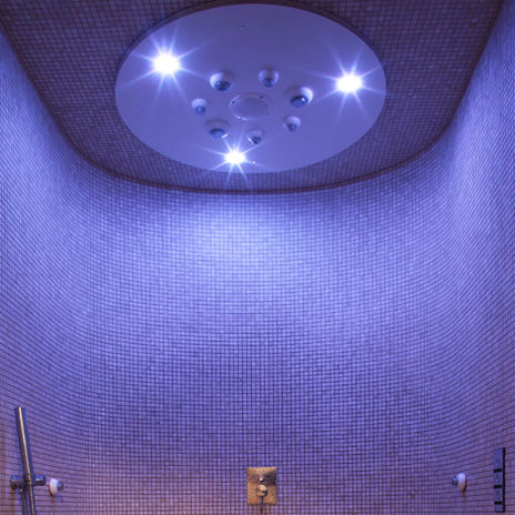 Douche sensorielle - NIAGARA RAIN SED1-3K - WDT - Werner Dosiertechnik - professionnelle / pour centre de spa