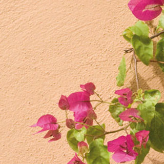 Peinture décorative - ALLA CALCE ADIGE - OIKOS colore e materia per l'architettura - de protection / d'extérieur / intérieure