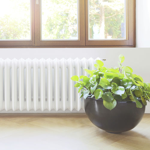 Radiateur à eau chaude - PEERLESS THREE COLUMN - Classic Comfort - contemporain / en fonte / à poser