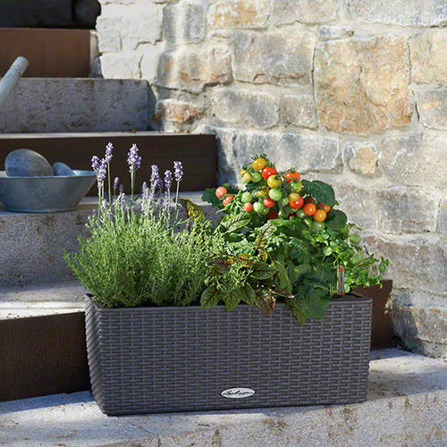 Jardinière en plastique - BALCONERA COTTAGE  - Lechuza - rectangulaire / contemporaine / d'extérieur
