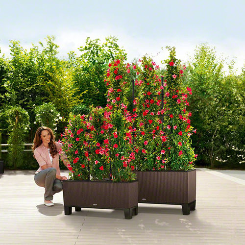 Jardinière en plastique - TRIO - Lechuza - rectangulaire / contemporaine / d'extérieur