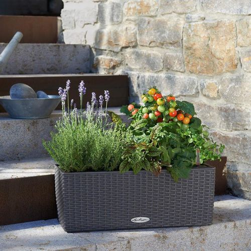 Jardinière en plastique - BALCONERA - Lechuza - rectangulaire / modulable / suspendue