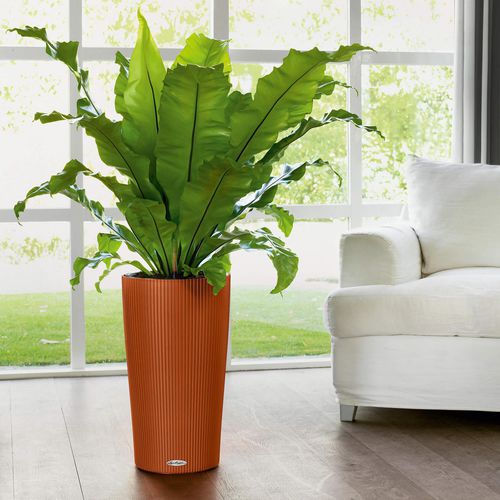 Pot de fleur en plastique - CILINDRO - Lechuza - à poser / conique / avec arrosage automatique