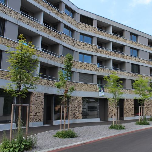 Bardage pour façade ventilée - CELLON-MFH BADEN - Bruag Design Factory AG - en panneaux / en HPL / texturé