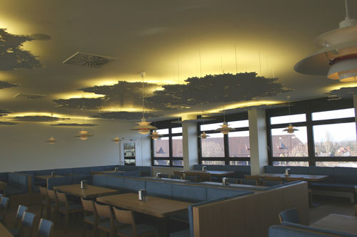 Panneau acoustique pour faux-plafond - BAVARIAN MEDICAL ASSOCIATION - Bruag Design Factory AG - MDF / rectangulaire / professionnel